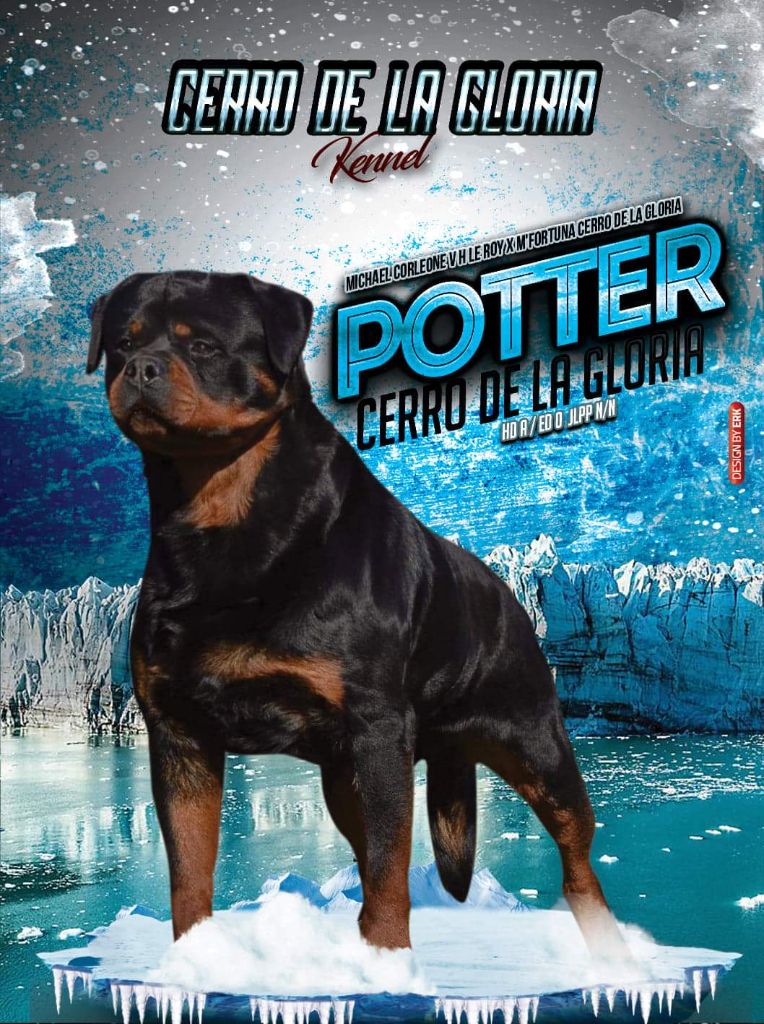 Potter Cerro de la Gloria